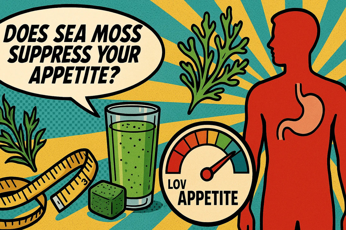 Does Seamoss Suppress Your Appetite