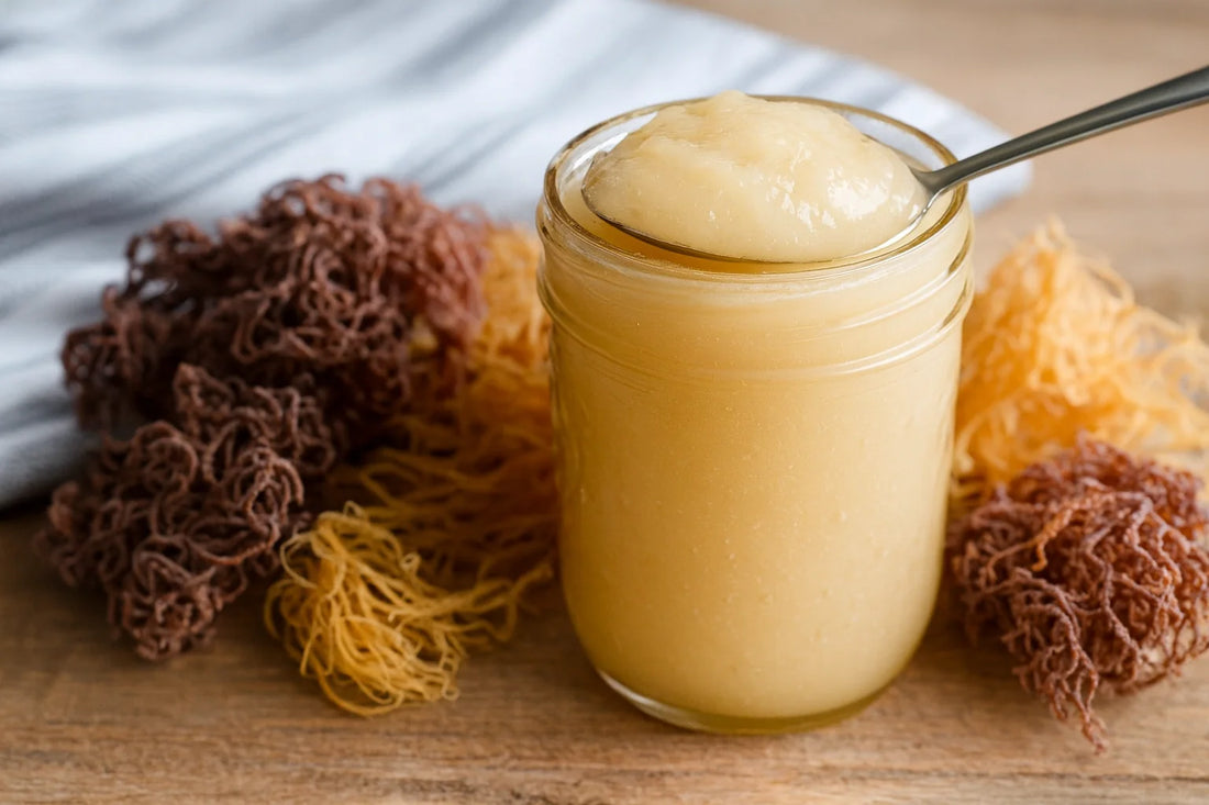 How to Make Sea Moss Gel